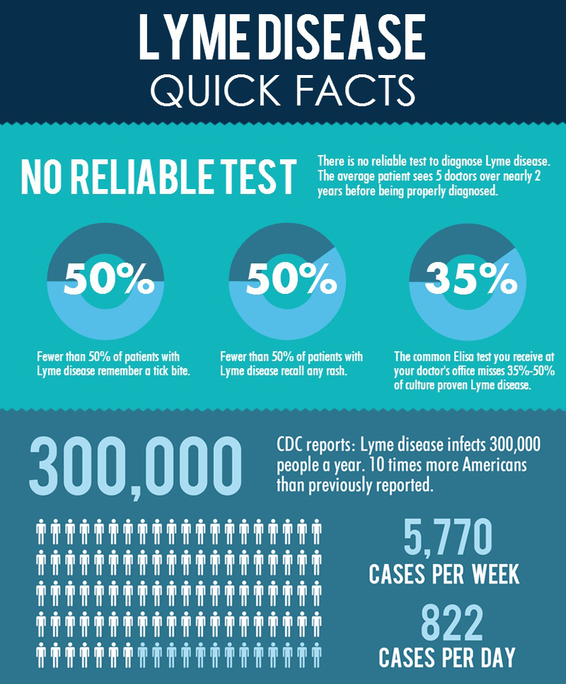 Lyme disease infographic