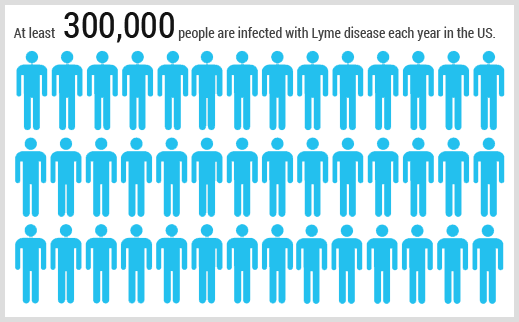 300,000 people are infected with Lyme disease each year