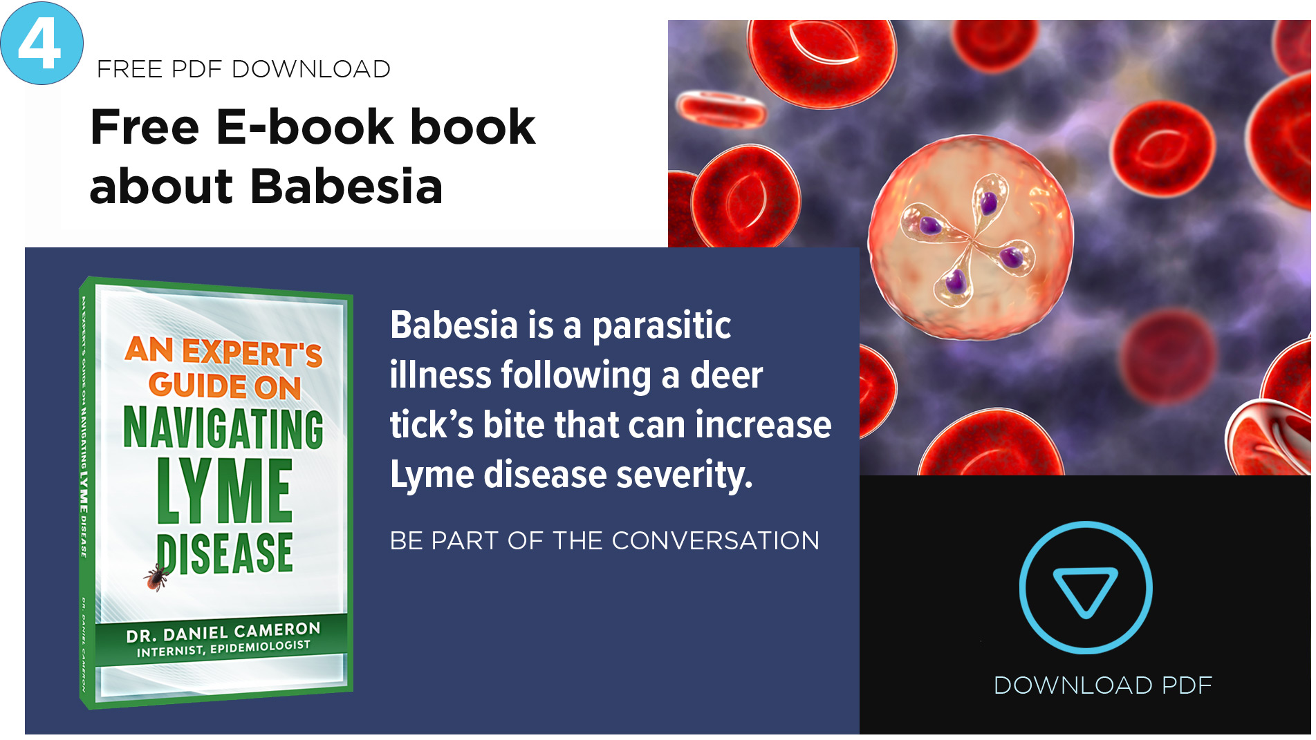 4 Intro to Lyme Disease Videos