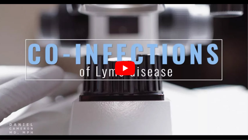 Co-infections Of Lyme Disease
