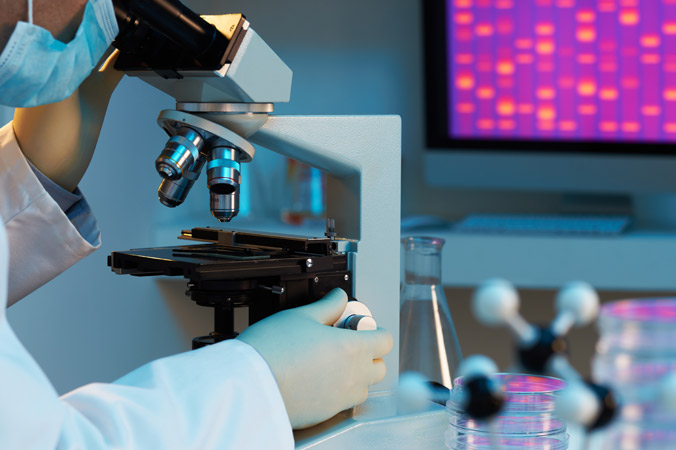 western blot test for dummies