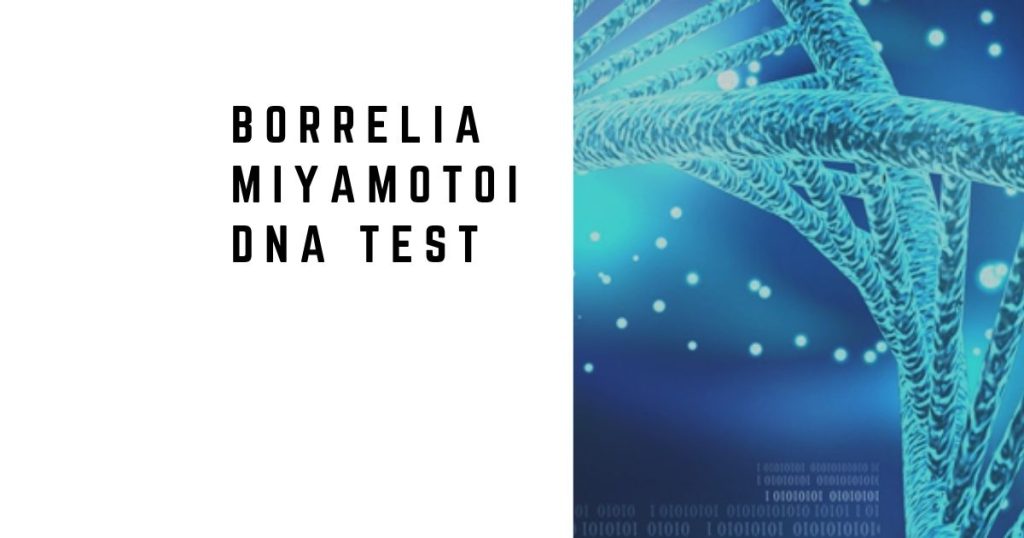 Borrelia Miyamotoi DNA Test