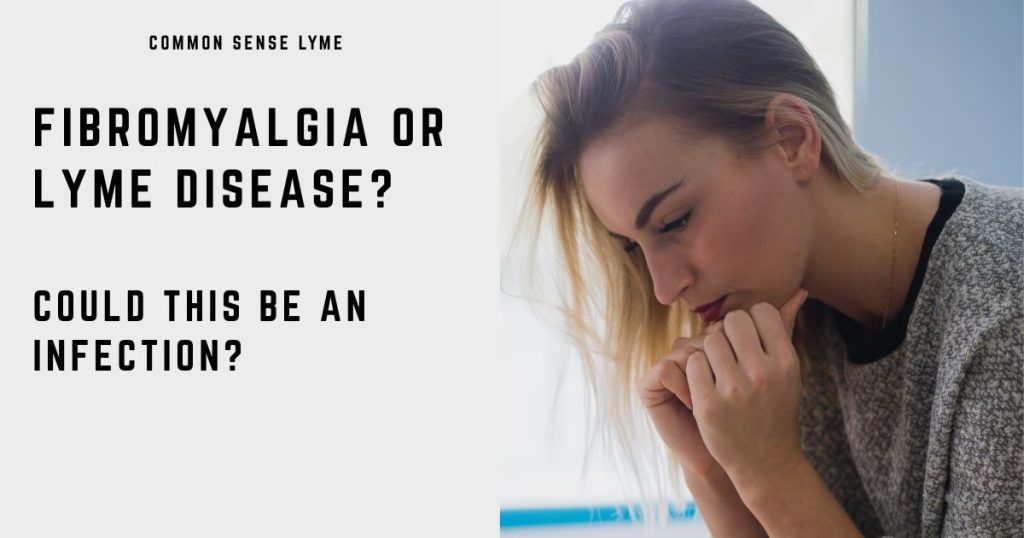 FIBROMYALGIA OR LYME DISEASE