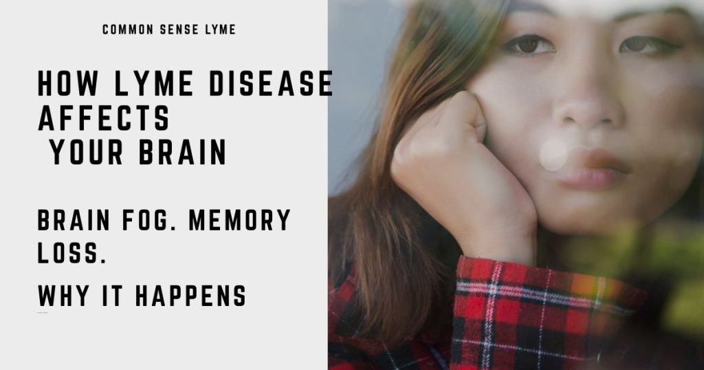 WHAT HAPPENS TO YOUR BRAIN in lyme disease