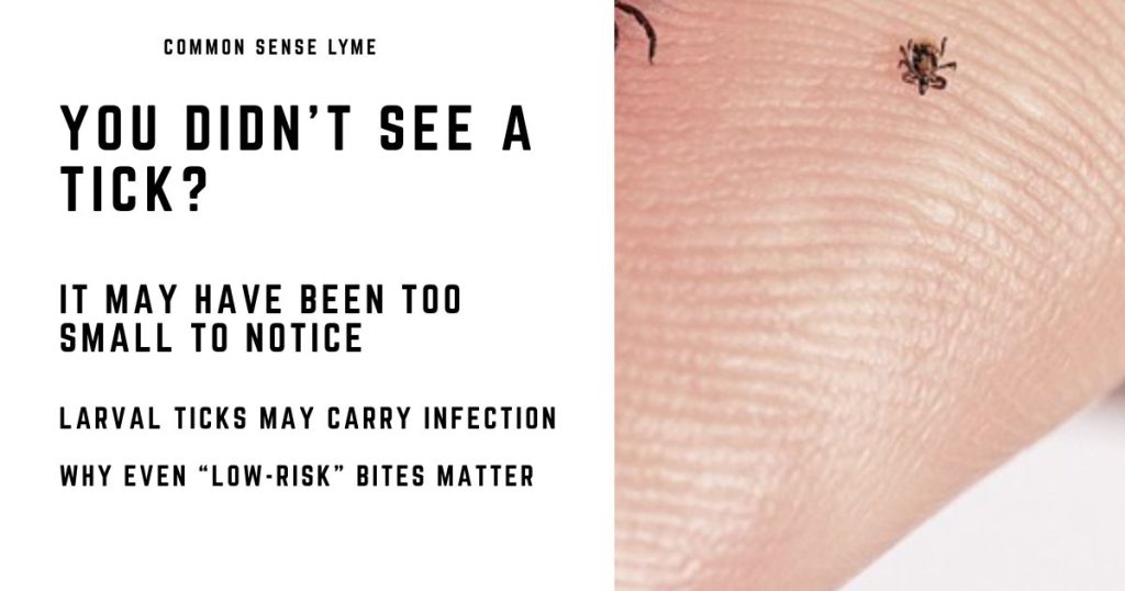 YOU DIDN’T SEE A TICK (1)