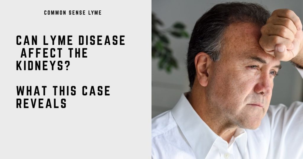 CAN LYME DISEASE AFFECT THE KIDNEYS