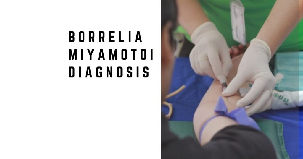 Borrelia miyamotoi Diagnosis