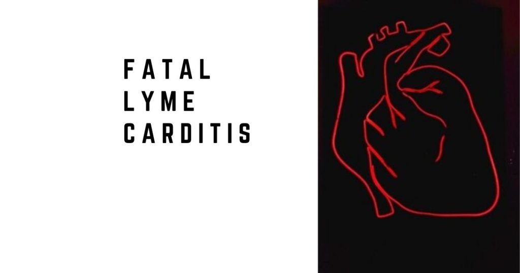 Fatal Lyme Carditis