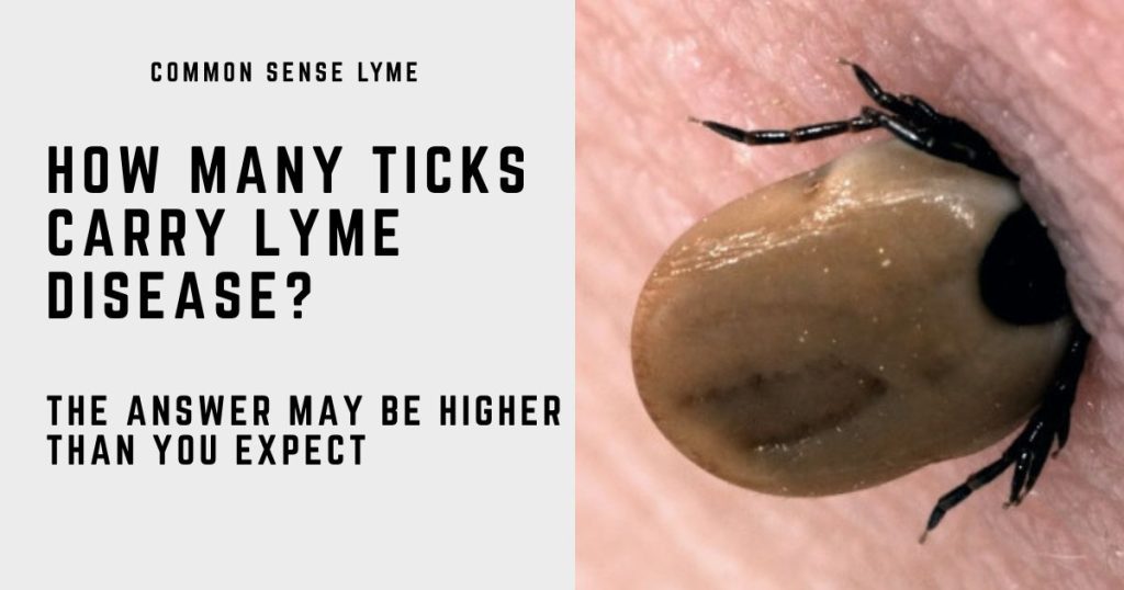 HOW MANY TICKS CARRY LYME DISEASE