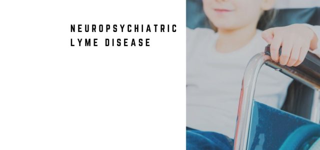 Neuropsychiatric Lyme Disease: When Infection Mimics Mental Illness