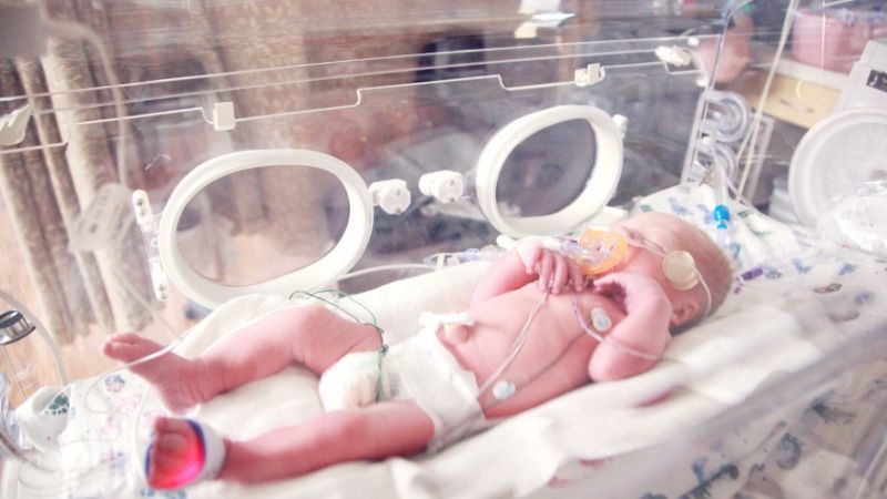 premature-babies-babesia-blood-transfusions-daniel-cameron-md-mph