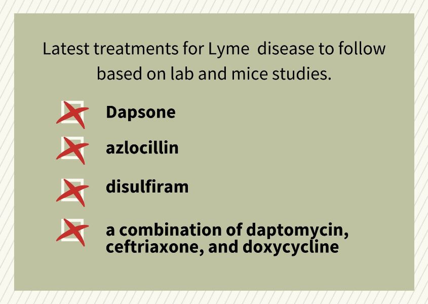 medication chart showing new treatments for lyme disease