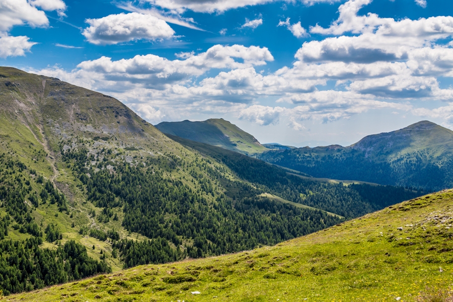 ticks live in alps mountains