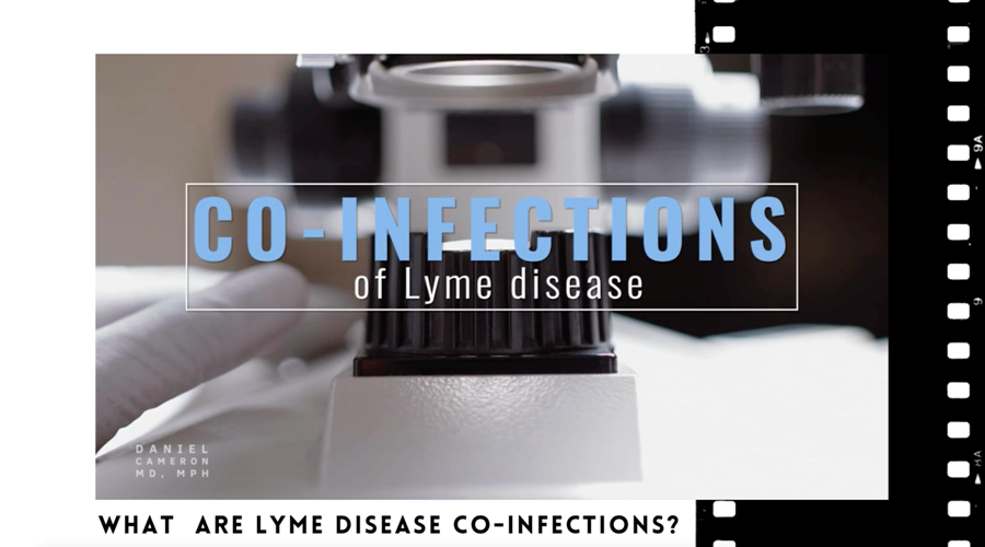 lyme disease co-infections