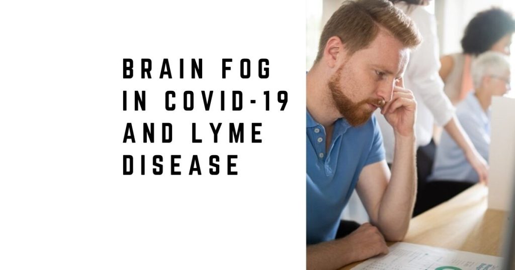 Brain Fog in COVID-19 and Lyme Disease