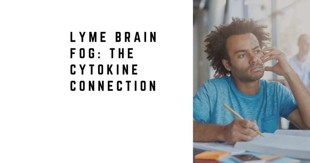 Lyme Brain Fog: The Cytokine Connection