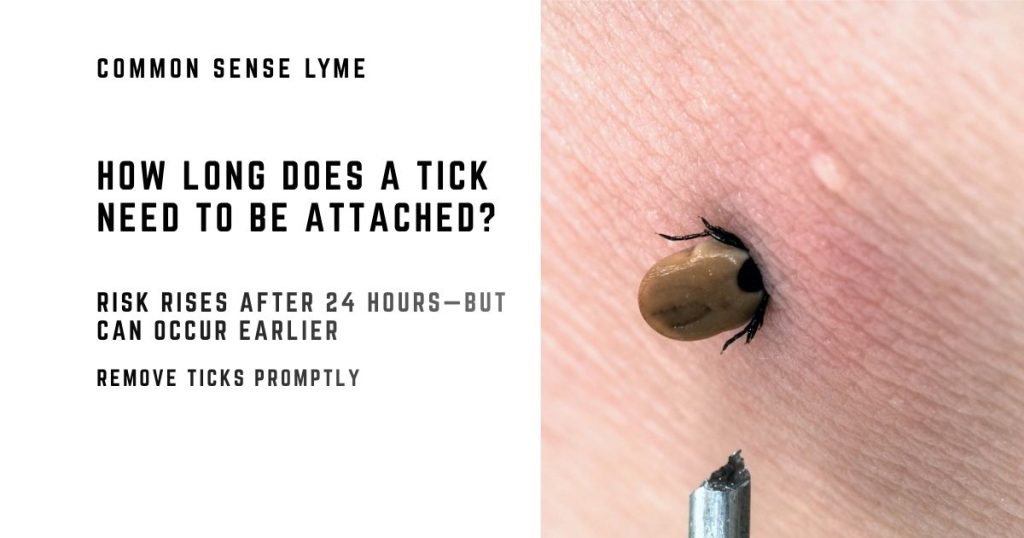 HOW LONG DOES A TICK NEED TO BE ATTACHED