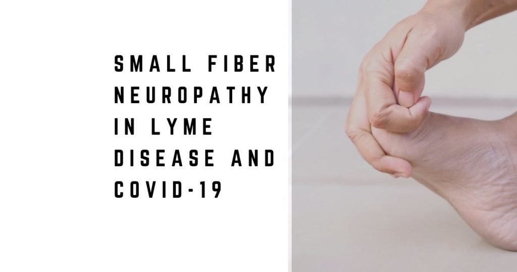 Small Fiber Neuropathy in Lyme Disease and COVID-19