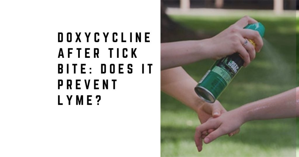 Doxycycline After Tick Bite: Does It Prevent Lyme?