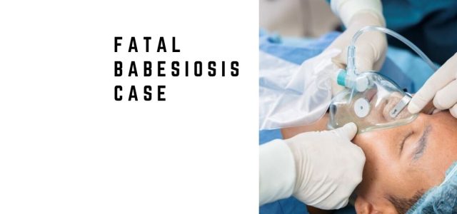 Fatal Babesiosis Case