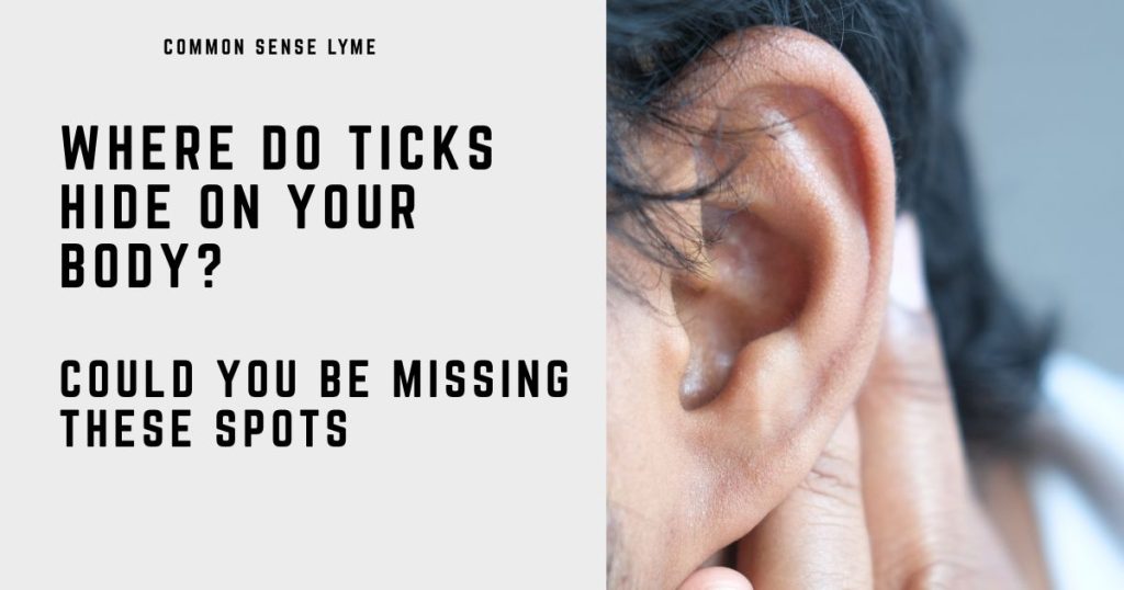 WHERE DO TICKS HIDE ON YOUR BODY