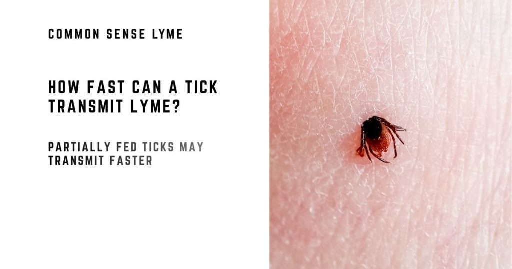 HOW FAST CAN A TICK TRANSMIT LYME?