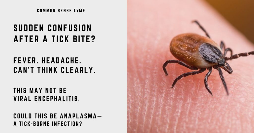 SUDDEN CONFUSION AFTER A TICK BITE