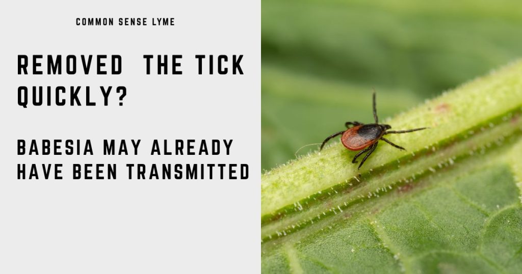 REMOVED the TICK QUICKLY (1)