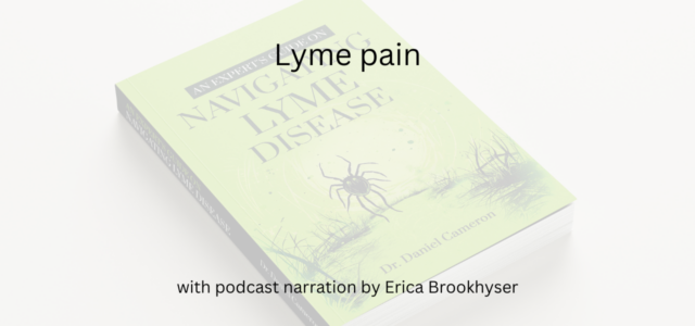 Lyme pain