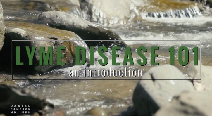 what is lyme disease