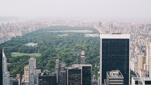 city park, urban, central park, NYC