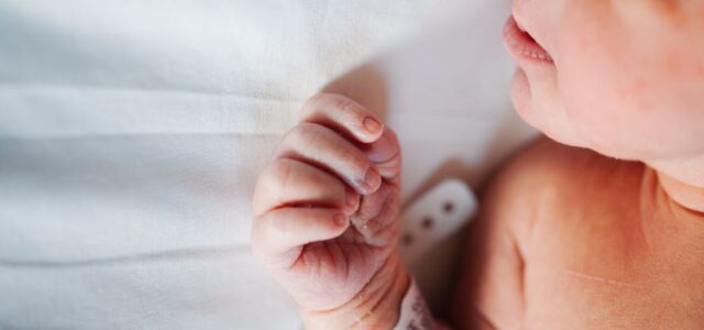 Newborn infant in hospital bed.