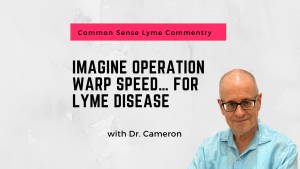 Lyme disease research funding