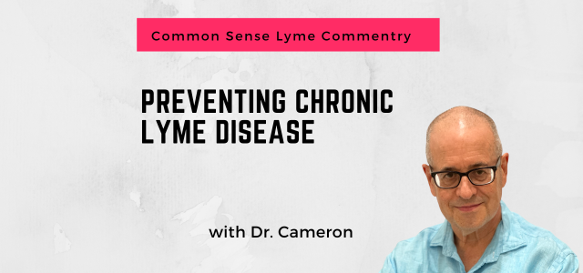 Preventing chronic Lyme disease