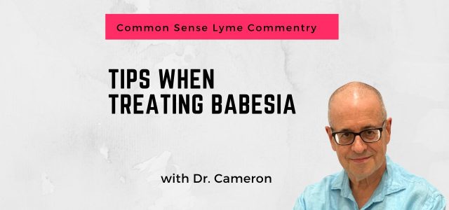 babesia treatment protocol medications