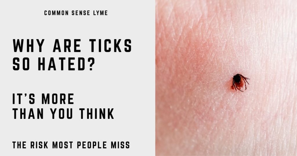 WHY ARE TICKS SO HATED