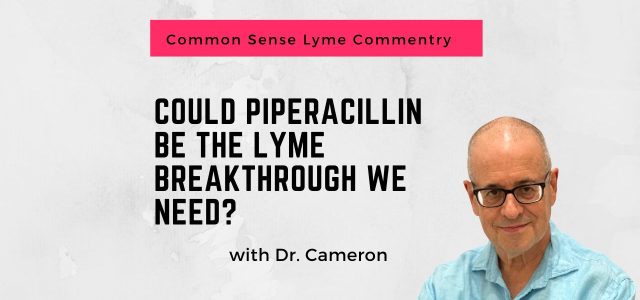 Could Piperacillin Be the Lyme Breakthrough We Need?