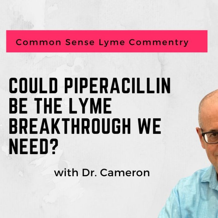 Could Piperacillin Be the Lyme Breakthrough We Need?