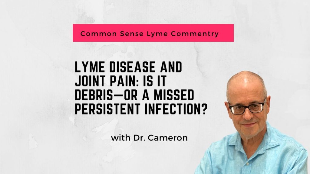 Lyme Disease and Joint Pain: Is It Debris—or a Missed Persistent Infection?