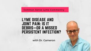 Lyme Disease and Joint Pain: Is It Debris—or a Missed Persistent Infection?