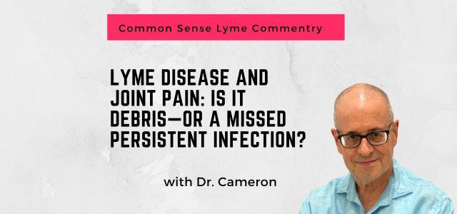 Lyme Disease and Joint Pain: Is It Debris—or a Missed Persistent Infection?