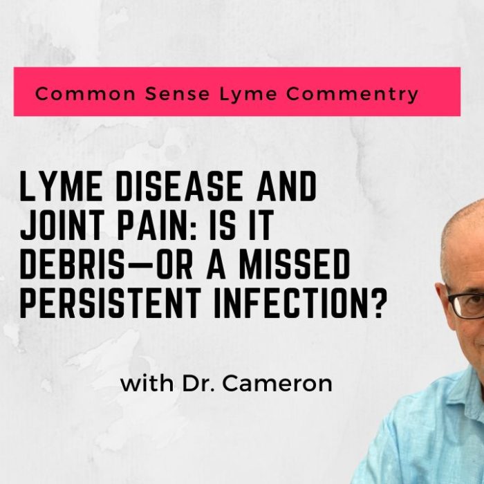 Lyme Disease and Joint Pain: Is It Debris—or a Missed Persistent Infection?