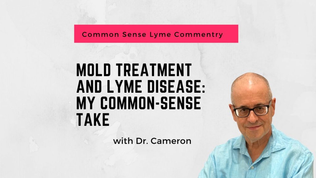 Mold Treatment and Lyme Disease: My Common-Sense Take"
