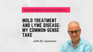 Mold Treatment and Lyme Disease: My Common-Sense Take"