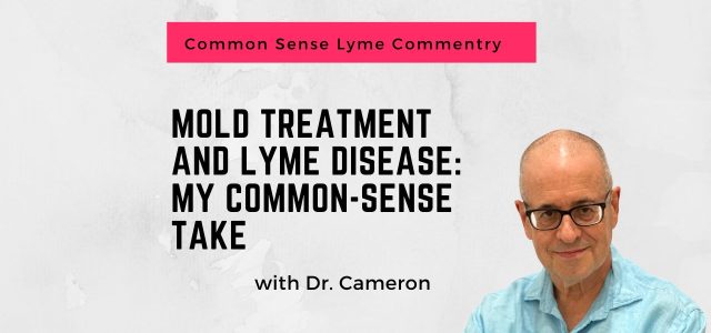 Mold Treatment and Lyme Disease: My Common-Sense Take"