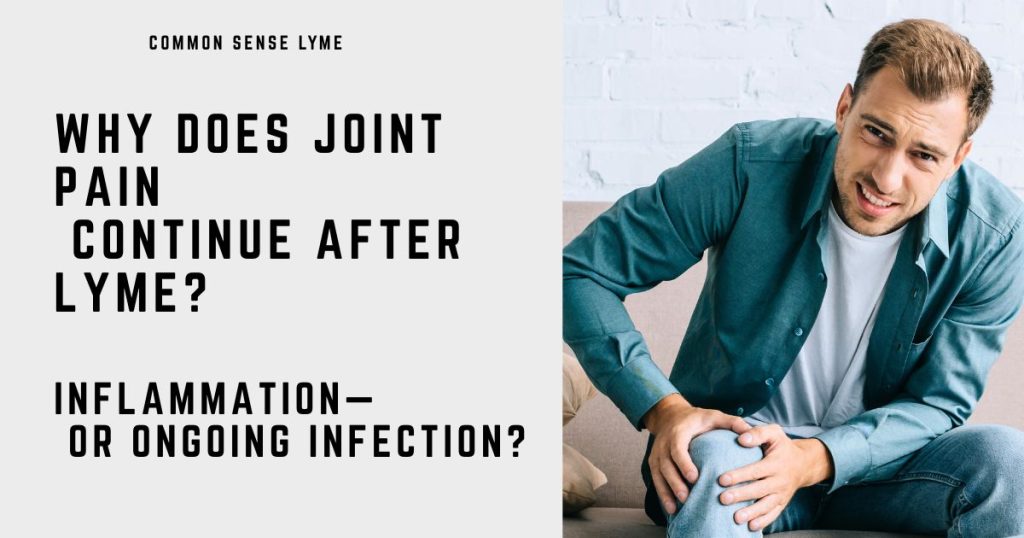 WHY DOES JOINT PAIN CONTINUE AFTER LYME (1)