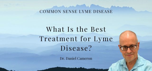 What Is the Best Treatment for Lyme Disease?