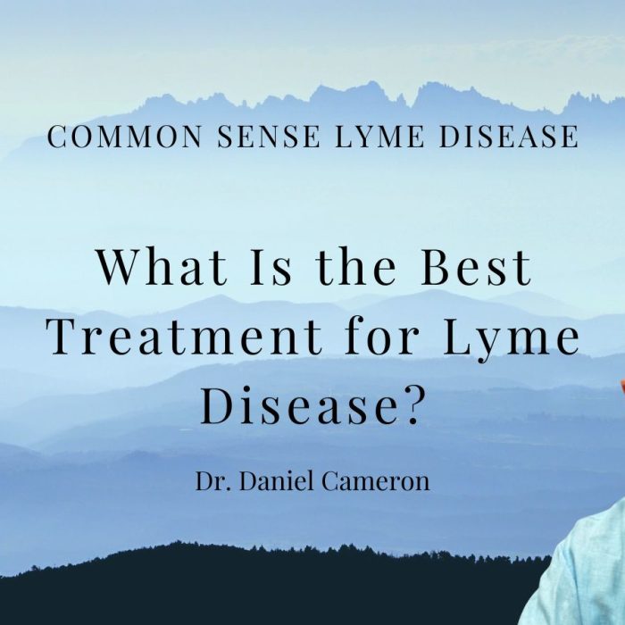 What Is the Best Treatment for Lyme Disease?