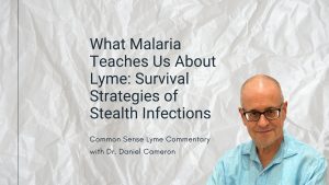 What Malaria Teaches Us About Lyme: Survival Strategies of Stealth Infections