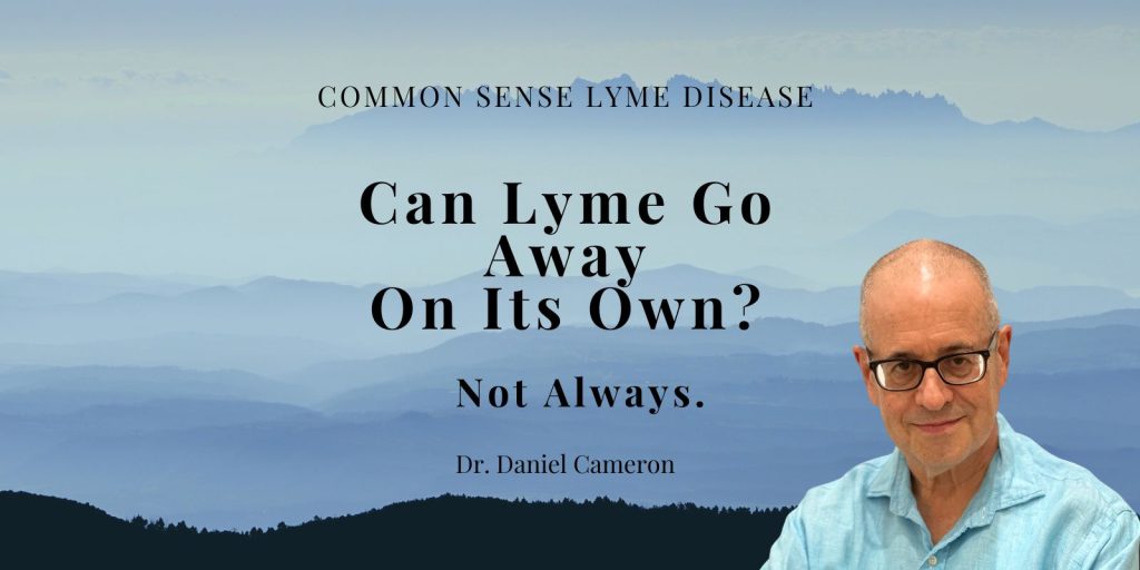 does Lyme disease go away without antibiotics